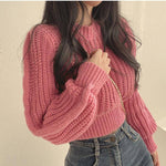 Asarna Chunky Knit Sweater