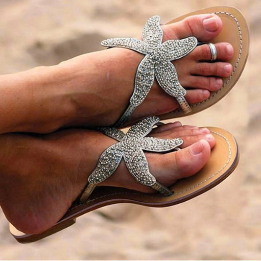 Sea Star Slides